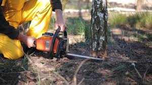  Monticello, IL Tree Services Pros