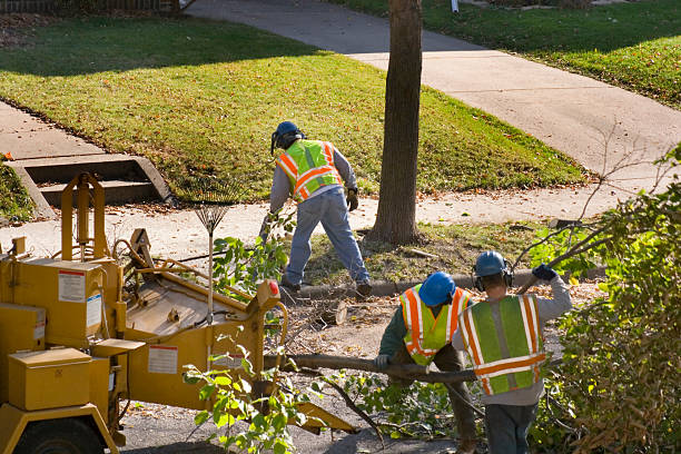 Lawn Drainage Solutions in Monticello, IL